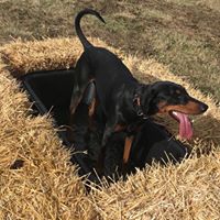 1364 c0bbd1d24c405c5d94bb0329a1fdcd0f 1