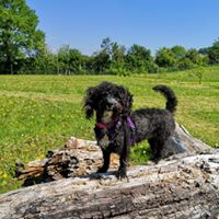 1364 c6edae5a0d777931e04def60a229f9b4 1