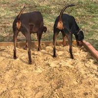 1364 c7414a27beecba0ec8b3e73c324ea16e 1