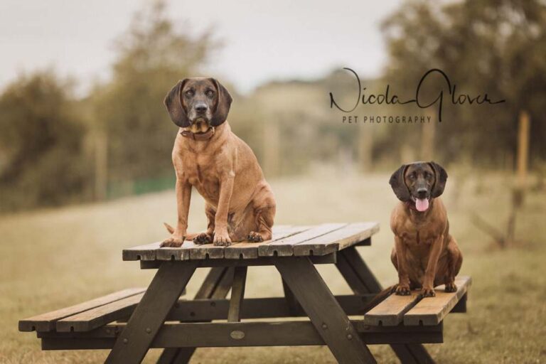 1364 ddd1abf4aa64bb0b4360487fed46ad70 1 768x512