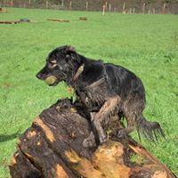 1364 e1fa0f64864c5d32b6378d40b1888df0 1