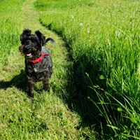 1364 ed28812a220de8d8802aac5641ff3eb7 1