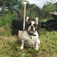 1364 f6dc63b4764167a964335ed4bbad32f0 1