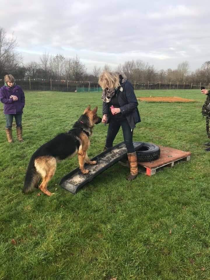 1364 f9c88508d485c70bfd3827a6cbcd58c6 1