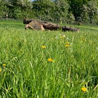 1364 fb83b280c5db4a573e5abfadd4e0c7d6 1