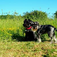 1364 fef15d2a4838f7ec7150f843046b8657 1