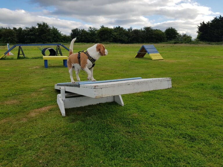 1366 4631b1bd844ee127e91cf780fd839e6a 1 768x576