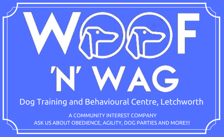 1366 5760d8f0fb8831b47f89fe0b4c53e8ed 1 768x469