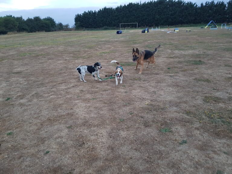 1366 df0d8c24a66ca91449cab7b0491da148 1 768x576