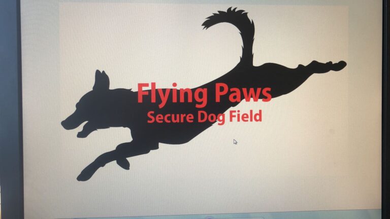 1373 130ce28a6a17669bc1483ab6e74612f7 1 768x432