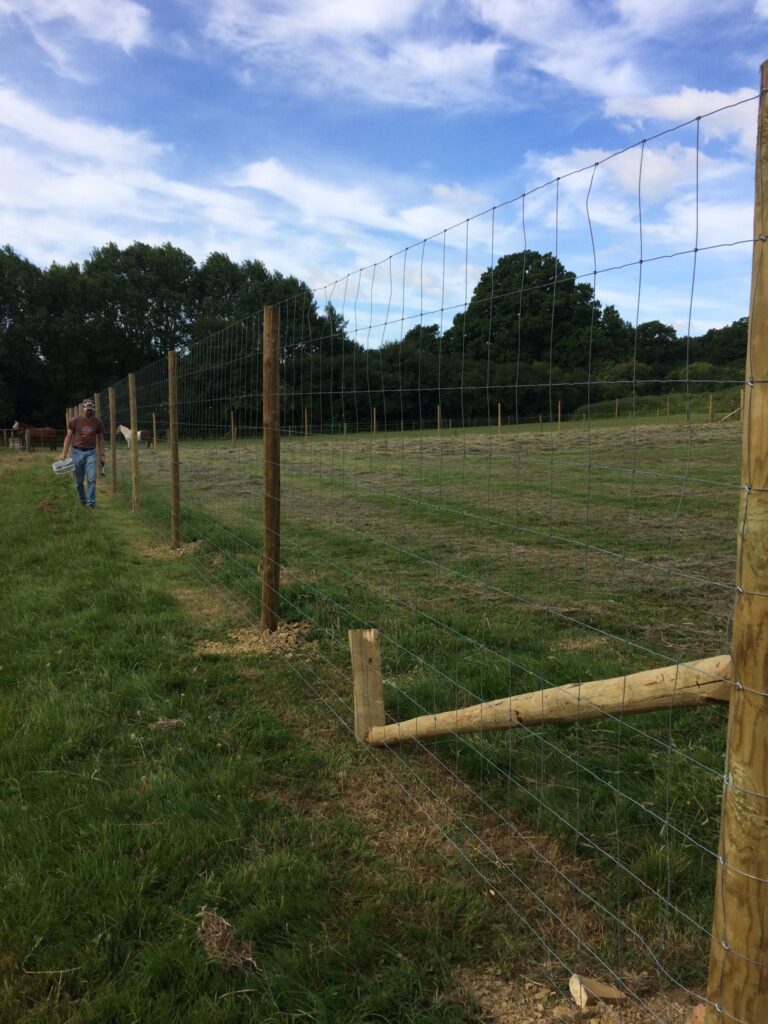 1373 56df17f3c6e34078bfd5759ffb04f4de 1 768x1024