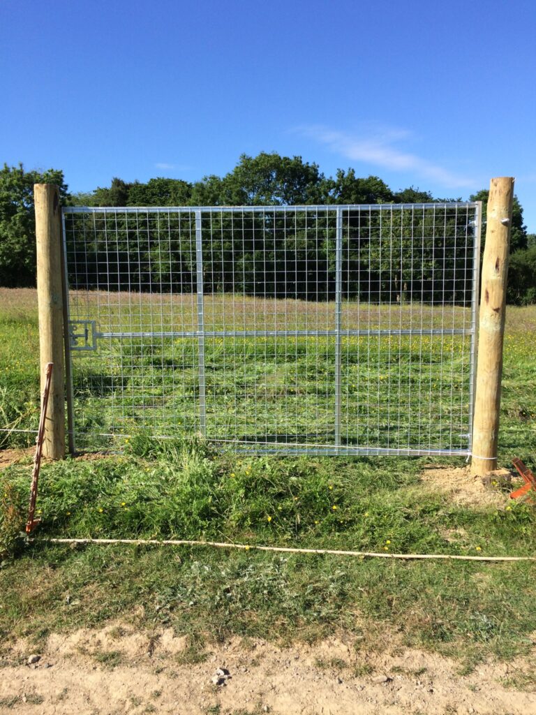 1373 751f08b67af0975bc9a3db20f491a5c4 1 768x1024