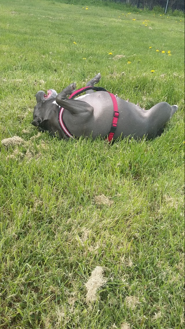 1374 35061ab1fdfb1c0d39153cfea1f3d30f 1