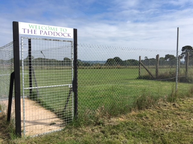 1374 85724bd4b8ce8e840a48ada4329919c8 1