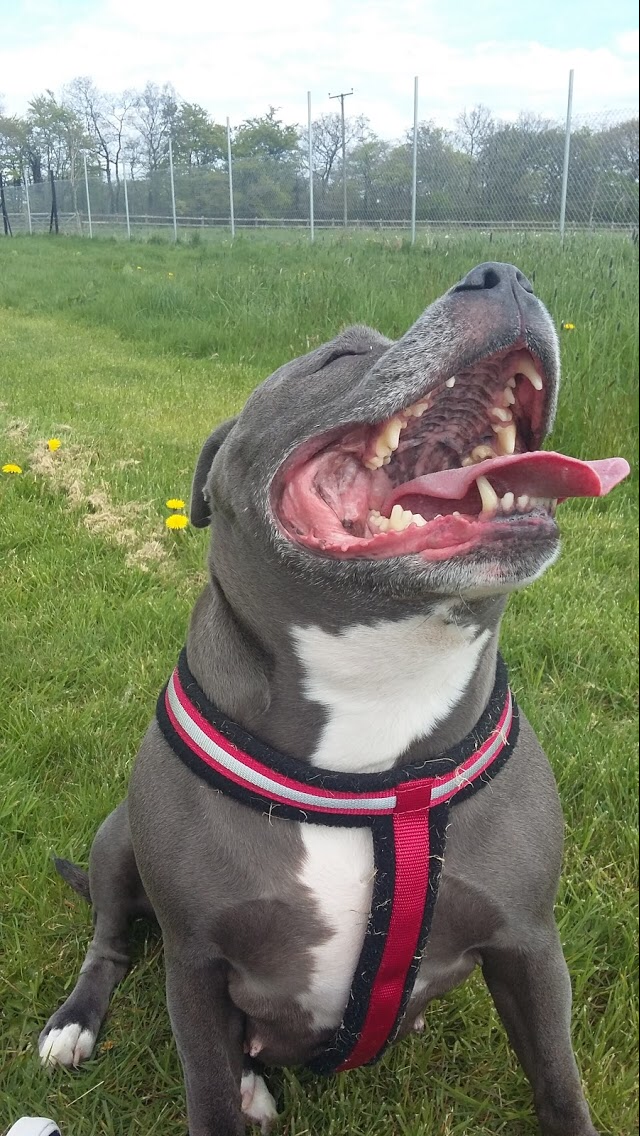 1374 edd7c1da2379636e16f4b78587127185 1