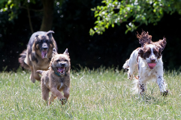 1375 499c9567f70184a4cf1cf66671b3ebf7 1