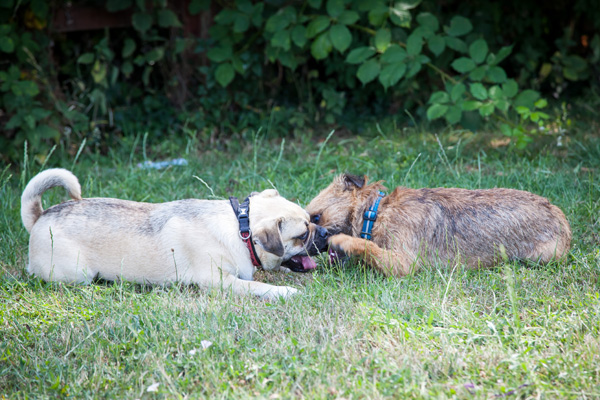 1375 c632662026f0492fa617e7e17b76cade 1