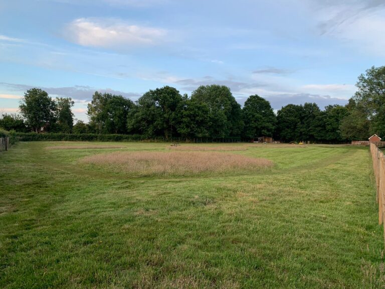 1376 001141d2111ff38114b0b6eb23744c84 1 768x576