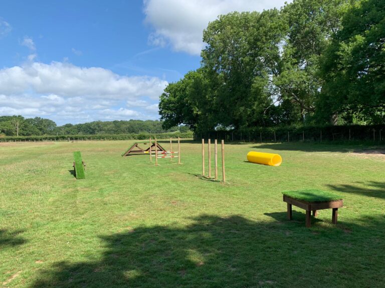 1376 a0bb614aa6fee7bb9fdea65697bfb120 1 768x576