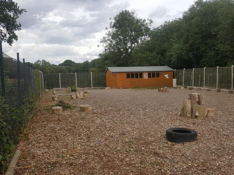 1378 5ca5df480689a3e7a4ff0357334b413c 1 768x576