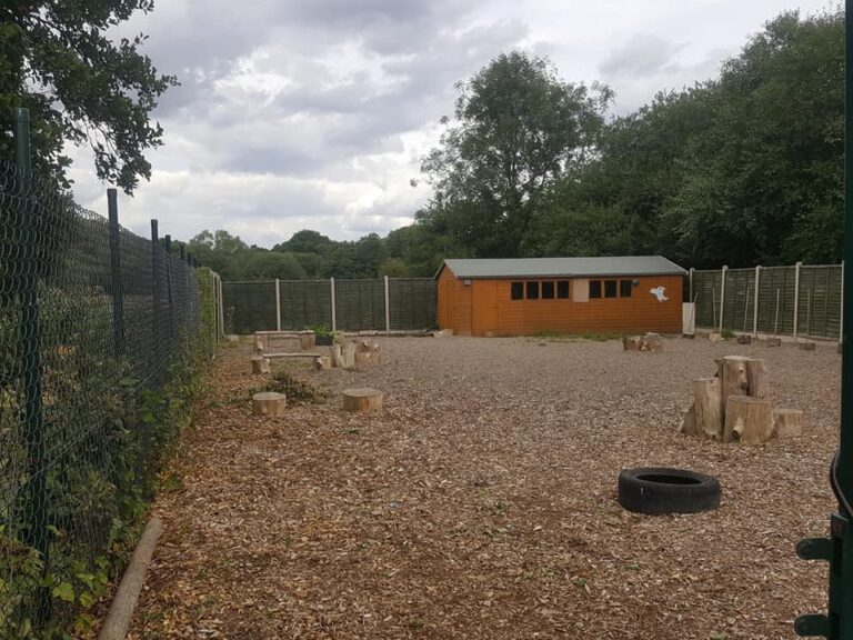 1378 675b98e9dbb9755812d14bd08b831e76 1 768x576