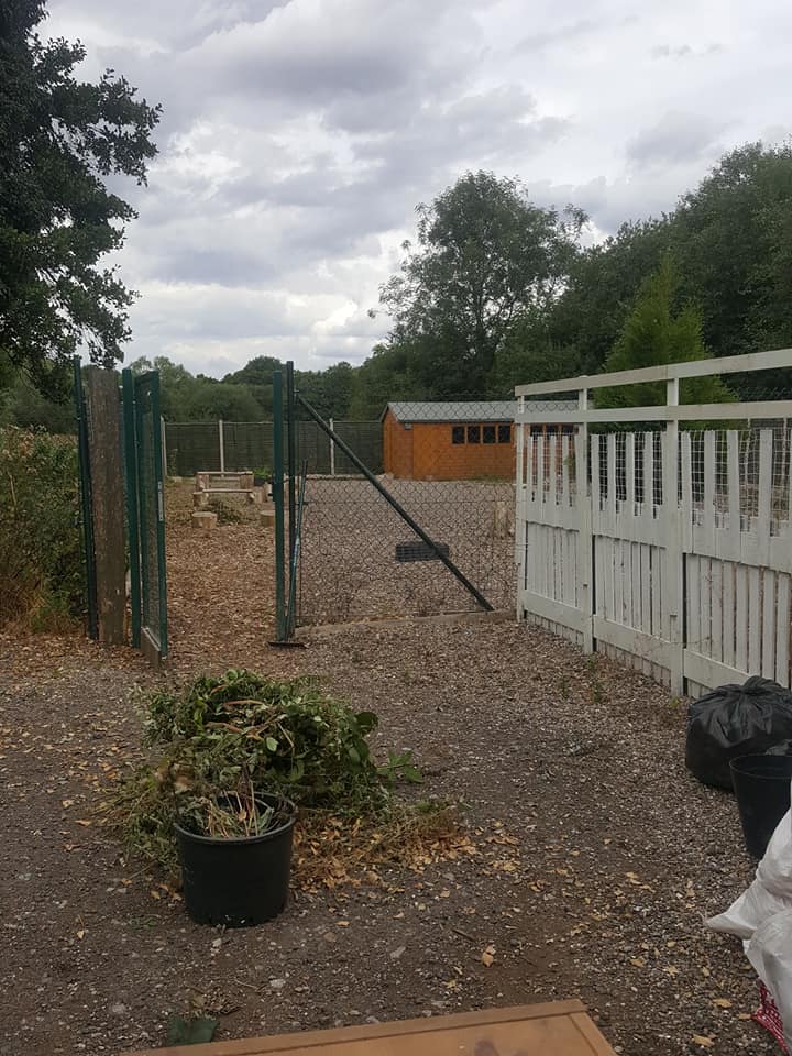 1378 f4d7e941297db56e3ebd4d55a19b1934 1