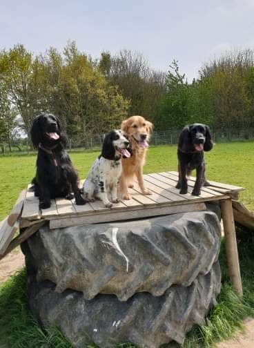 1379 00d63d6df0ba197bb4bfb85398fb9bd9 1