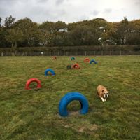 1379 367d73fe1d33fcb04a7cabca0785ecfc 1