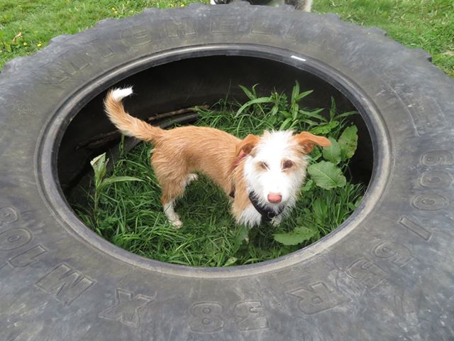 1379 4120c9404639be248db5117476e38027 1