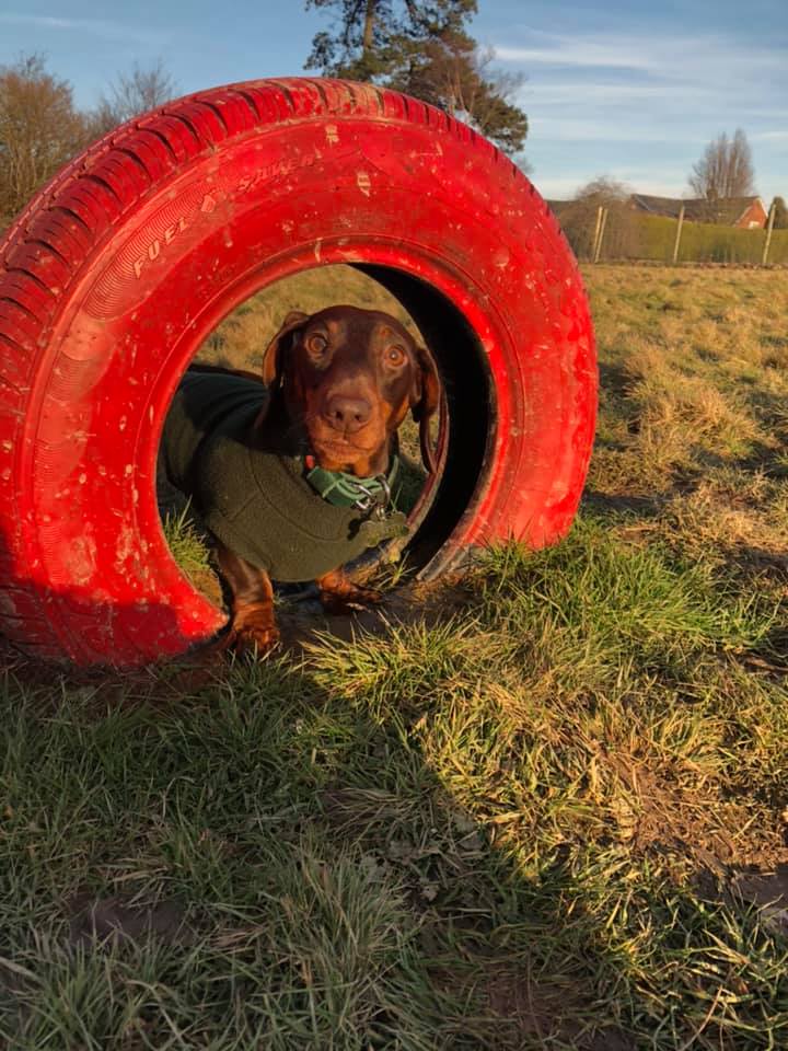 1379 5f15afb1ca3214ce1d439e13ba57fefd 1