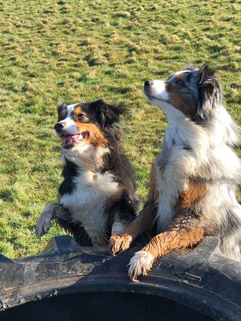 1379 681c6e7b3cc2efc44ec21c6d441a343d 1