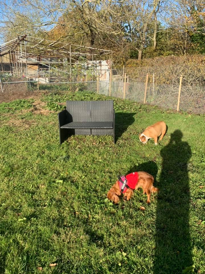 1379 6cef22de7e2fcdcdefe2b670f8a849ae 1