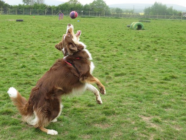 1379 6f71c3a6819f2f6487ad87b094c92ed0 1