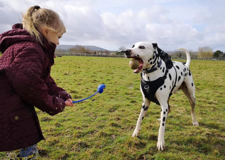 1379 728c4a4be3833f4f7b89a5b797bd994c 1 768x548