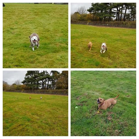 1379 772f5adb032a940155dee6aa2f505e4e 1