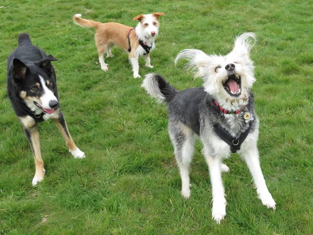 1379 7d35a024b128b958fea178ee4ff88bd8 1