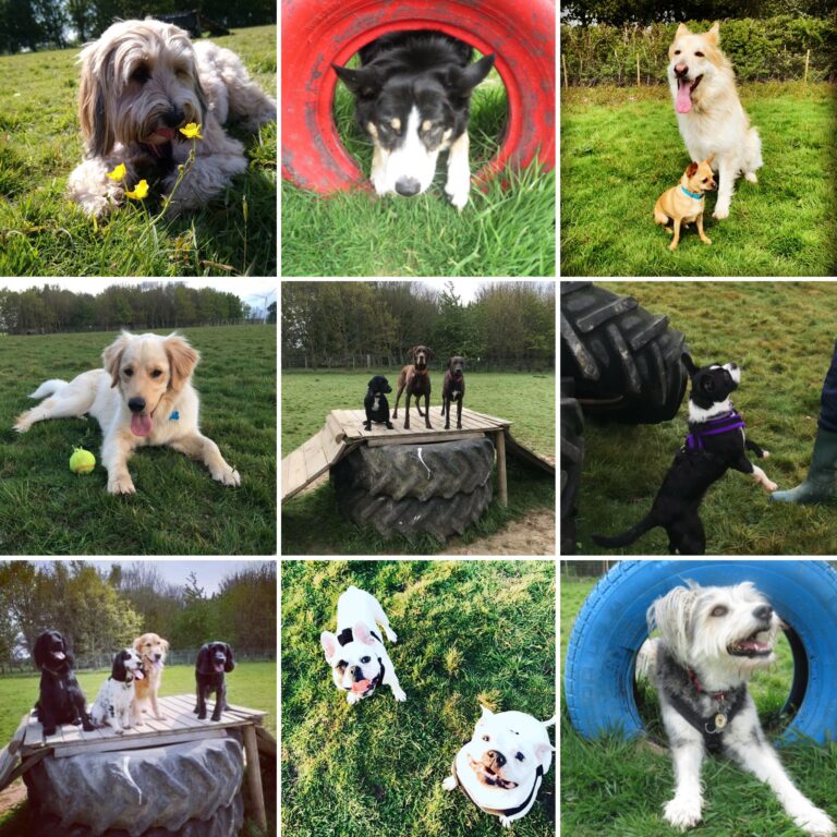 1379 8612c87bae03543ca739ea12bffb2da1 1 768x768