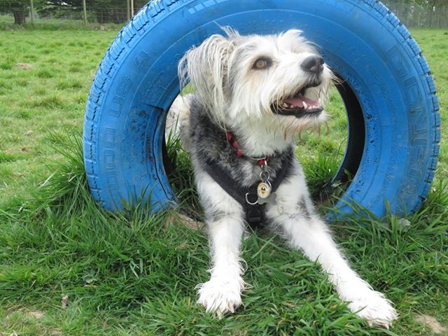 1379 89fc3456728772a84d1f929917b3e0f5 1