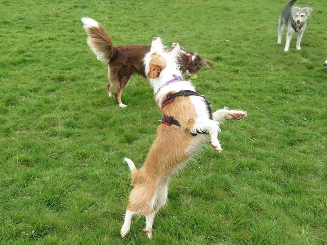 1379 9463d110f92946c592ce679276085223 1