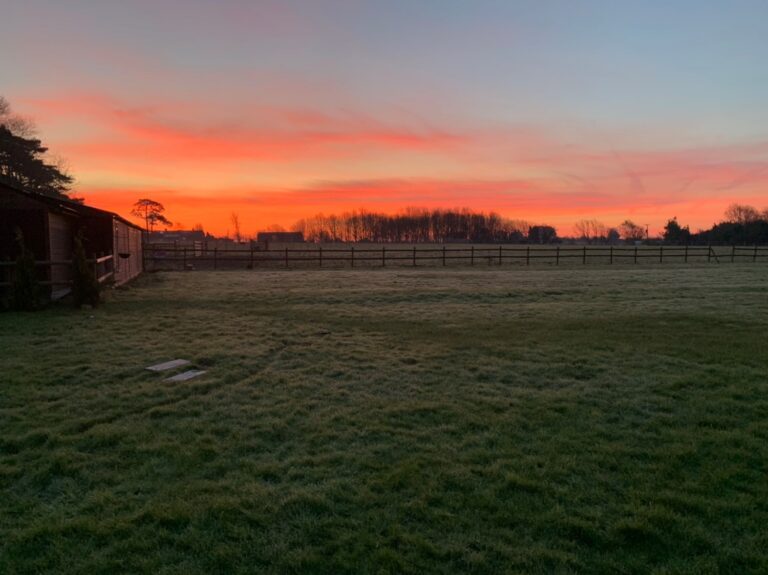 1379 c0f7a41f2b5a13a0944dca97c23e92ef 1 768x575