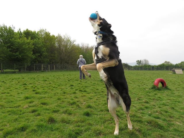 1379 c96a785b44928c825841a6efdb825bf1 1