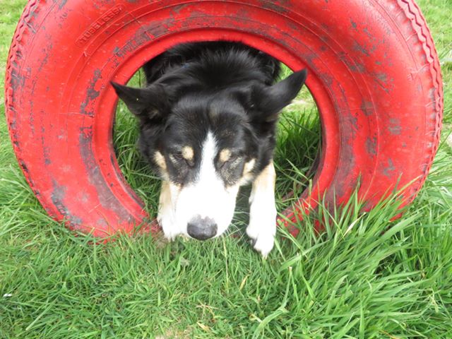 1379 ce56b40da95d50cd2efbff987a3db6ff 1