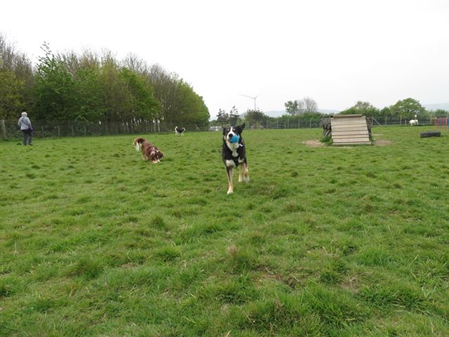 1379 dbe55023886bc50121377545cbef91ac 1