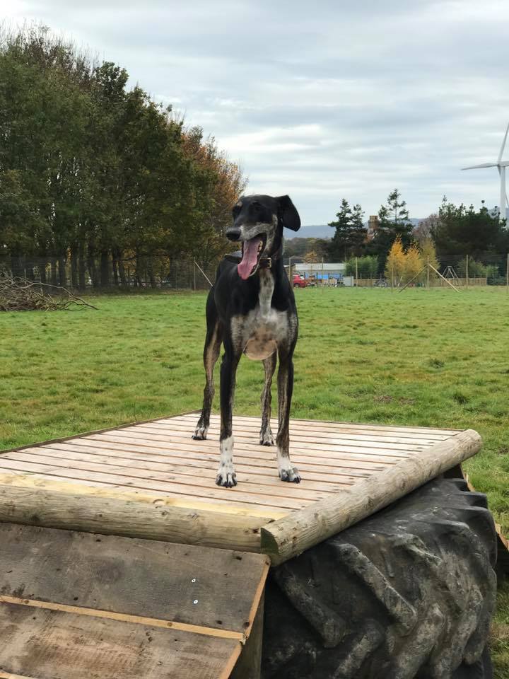 1379 e67e5288eb5c6beea4b22dbf1609039c 1