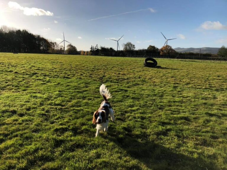 1379 fa26b71327e6275d4ffb1c2416eb4d17 1 768x576