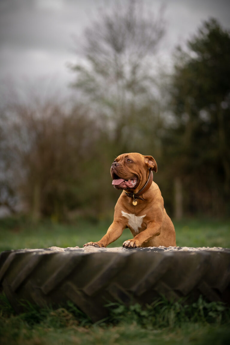 1381 2f3eb58106a68d17920eea1d869ace6a 1 768x1151