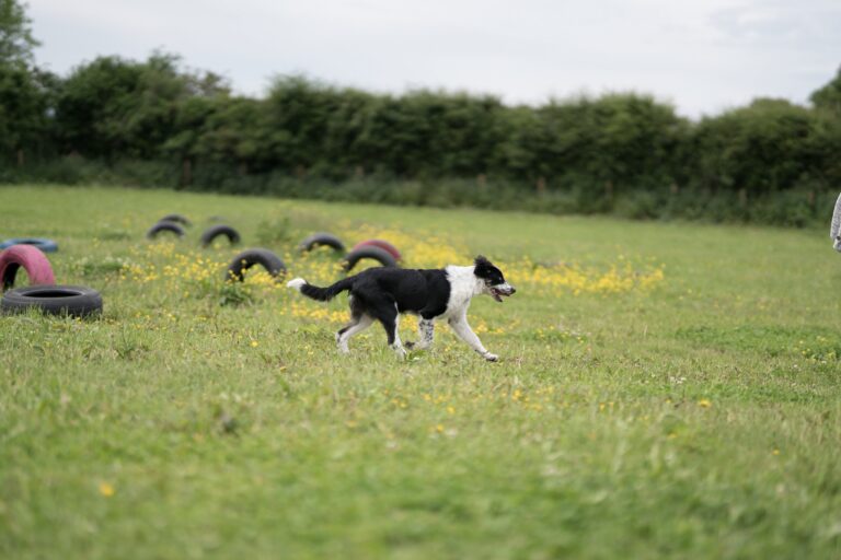 1381 7a02d1f2a1dbedb42d23e1358f19fbda 1 768x512