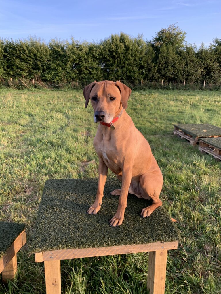 1381 7a984912faac69b56041d6a77a7562a1 1 768x1024