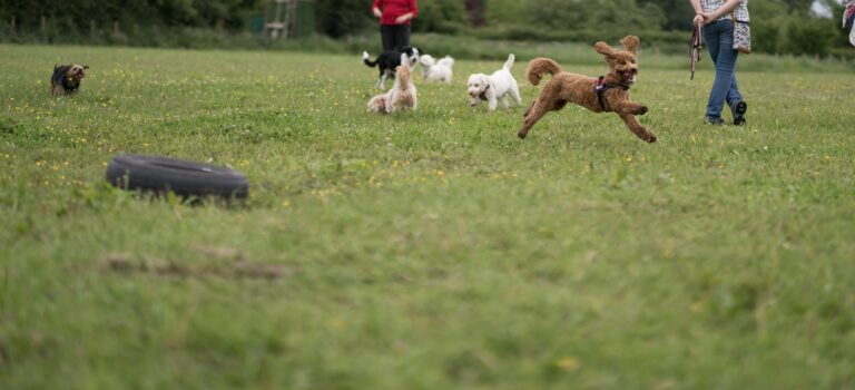 1381 913a684a2f683144c26412cd23a2fa1f 1 768x350