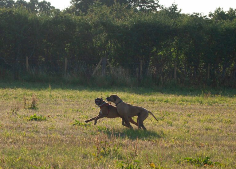 1381 d4c7b1af4809365191d44d4749c42c7a 1 768x551